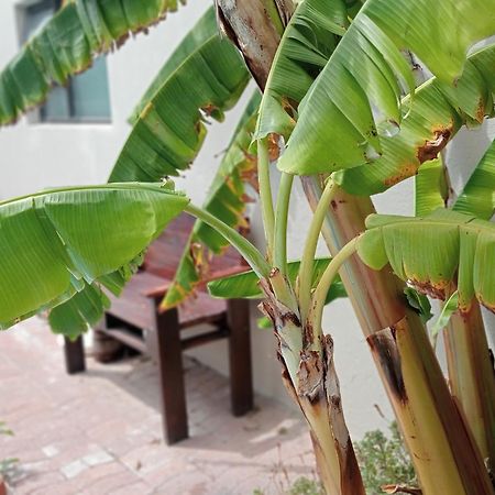 The Pool Cottage فِش هوك المظهر الخارجي الصورة