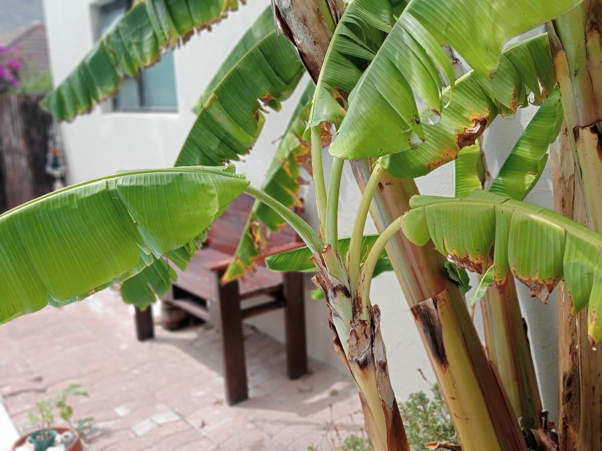 The Pool Cottage فِش هوك المظهر الخارجي الصورة